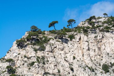 Kireçtaşı kayalıkları ve Cassis yakınlarındaki mavi deniz Provence, Fransa 'daki Calanques Ulusal Parkı' na tekne gezisi.