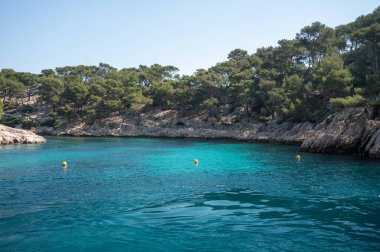 Cassis yakınlarındaki Calanque de Port Pin 'de manzara, Fransa' nın Provence kentindeki Calanques Ulusal Parkı 'na tekne gezisi