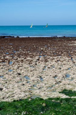 Alçak gelgit dönemi ve okyanusun dibindeki beyaz taşların manzarası ve Fransa 'nın Normandiya eyaletindeki Porte d' Aval kemerinin tebeşir kayalıkları. Turistler için tatil yeri.