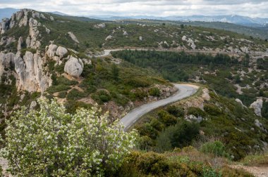 La Ciotat 'tan Cassis' e giden turistik rota D141, mavi deniz manzaralı, kireçtaşı uçurumları ve yeşil çam ormanı, Fransa 'nın Provence kentinde tatil