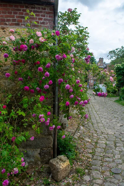 Sommerblüte Duftender Bunter Rosen Engen Gassen Des Kleinen Dorfes Gerberoy — Stockfoto