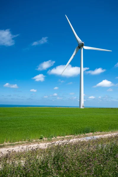 Vista Sui Moderni Mulini Vento Campi Grano Verde Blu Oceano — Foto Stock