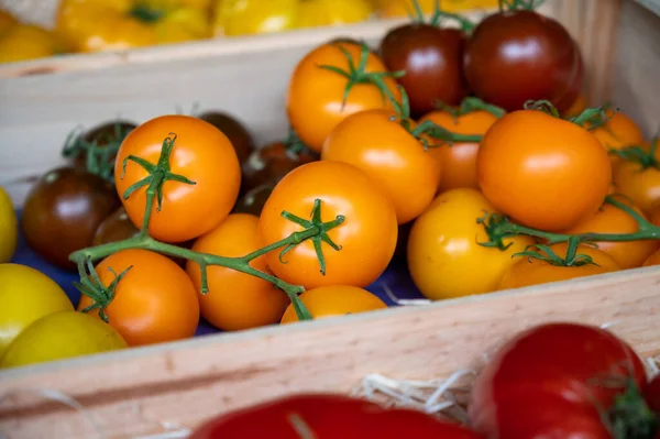 Färgglada Franska Mogna Välsmakande Tomater Sortimentet Provensalska Marknaden Cassis Provence — Stockfoto