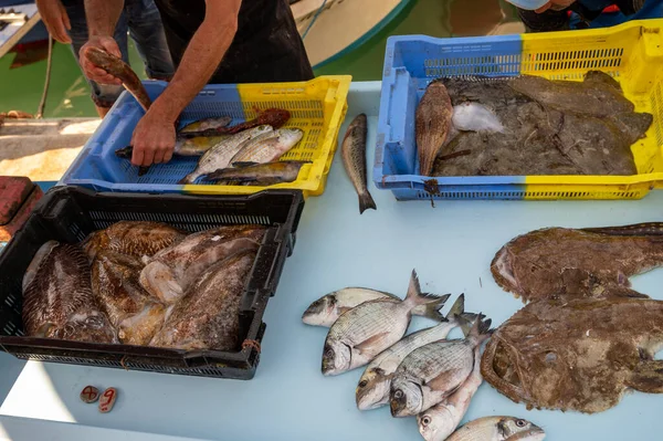Vangst Van Dag Verse Vis Koop Dagelijkse Buitenvismarkt Kleine Oude — Stockfoto