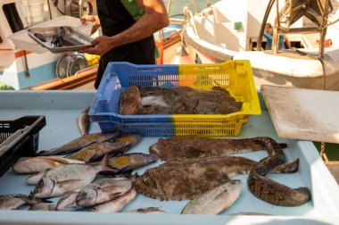 Günün avı, Cassis, Provence, Fransa 'daki küçük eski limandaki balıkçı pazarında günlük taze balık satışı.