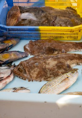 Günün avı, Cassis, Provence, Fransa 'daki küçük eski limandaki balıkçı pazarında günlük taze balık satışı.