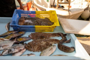 Günün avı, Cassis, Provence, Fransa 'daki küçük eski limandaki balıkçı pazarında günlük taze balık satışı.