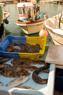Günün avı, Cassis, Provence, Fransa 'daki küçük eski limandaki balıkçı pazarında günlük taze balık satışı.