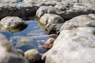 Alçak gelgit dönemi ve okyanusun dibindeki beyaz taşların manzarası ve Fransa 'nın Normandiya eyaletindeki Porte d' Aval kemerinin tebeşir kayalıkları. Turistler için tatil yeri.