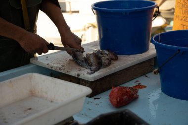 Günün avı, Cassis, Provence, Fransa 'daki küçük eski limandaki balıkçı pazarında günlük taze balık satışı.