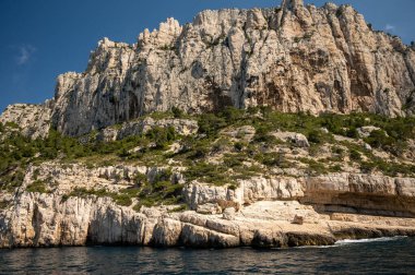 Limestone cliffs and blue sea near Cassis, boat excursion to Calanques national park in Provence, France