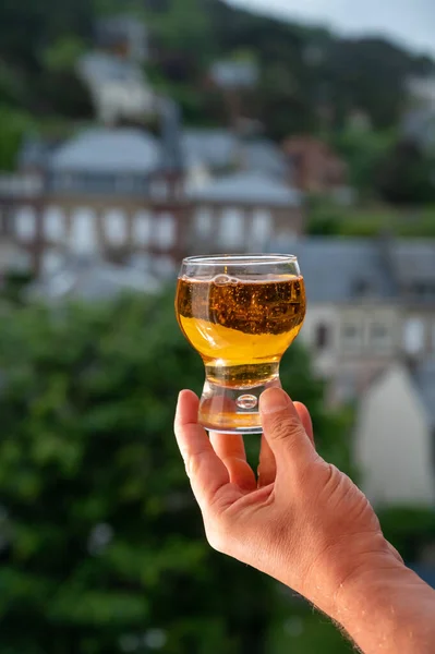 Hand holding one glass of apple cider drink and houses of Etretat village on background, Normandy, France