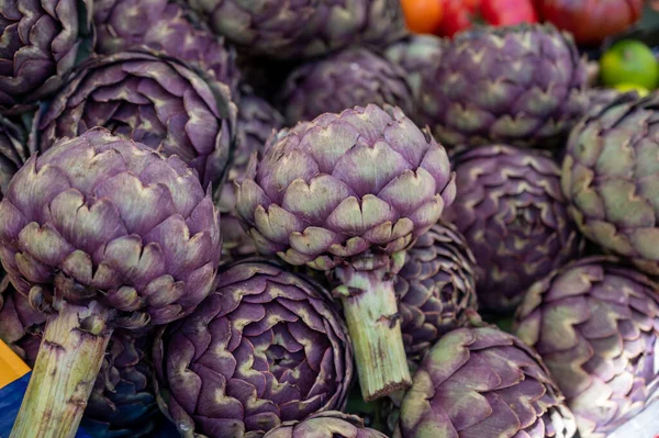 フランス ブルターニュのファーマーズマーケットで大きな紫色の世界のアーティチョークの頭の野菜 — ストック写真