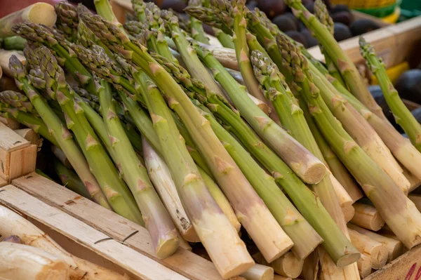 Fresh raw green asparagus vegetables for sale in french Provencal farmers market in april, Cassis, France