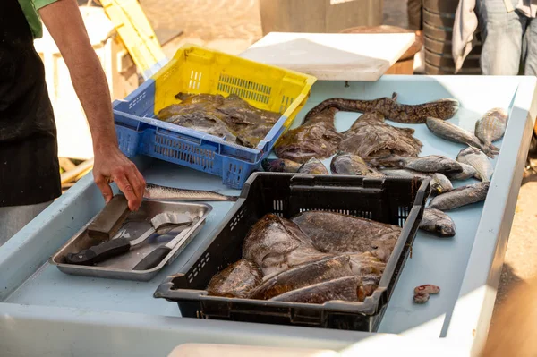 Vangst Van Dag Verse Vis Koop Dagelijkse Buitenvismarkt Kleine Oude — Stockfoto