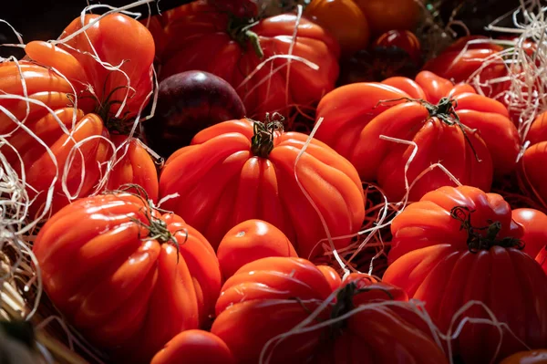 Colorful French Ripe Tasty Tomatoes Assortment Provencal Market Cassis Provence — Fotografia de Stock