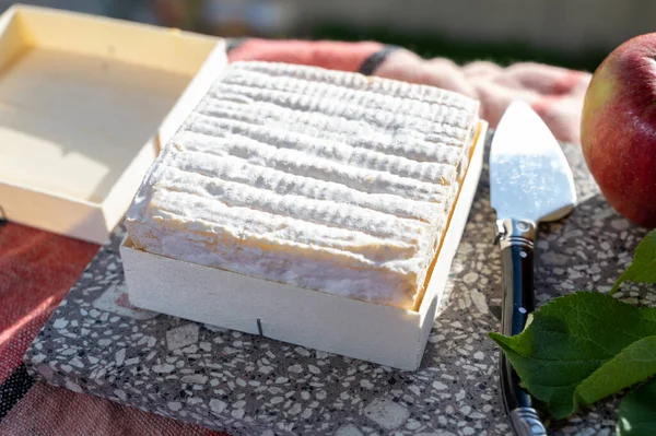 French squared pont l'eveque cow cheese from Calvados department, close up, Pont l'eveque village, Normandy, France