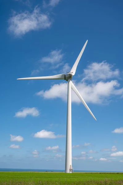 View Modern Wind Mills Green Grain Fields Blue Atlantic Ocean — Stock Photo, Image