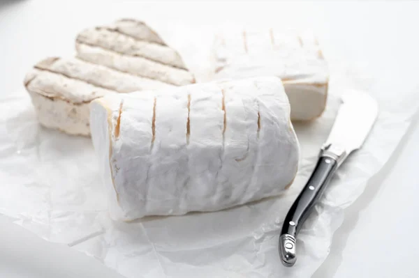 French cheeses heartshaped, squared and cylindrical neufchatel cow cheese with mold on white paper, Neufchtel en Bray, Normandy, France