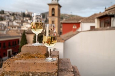 Tasting of sweet and dry fortified Vino de Jerez sherry wine with view on roofs and houses of old andalusian town, South of Spain clipart
