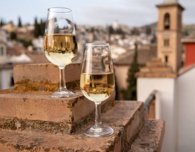 İspanya 'nın güneyindeki Endülüs şehrinin çatıları ve evleri manzaralı tatlı ve kuru şarap tatmak.
