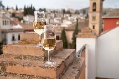 İspanya 'nın güneyindeki Endülüs şehrinin çatıları ve evleri manzaralı tatlı ve kuru şarap tatmak.
