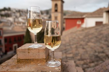İspanya 'nın güneyindeki Endülüs şehrinin çatıları ve evleri manzaralı tatlı ve kuru şarap tatmak.
