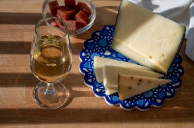 İspanyol sert manchegosu, inek, koyun ve keçi peyniri açık havada membrillo reçeli ve bir bardak şeri şarabı ile servis edilir. Mavi Endülüs stil panosunda. Kapatın.