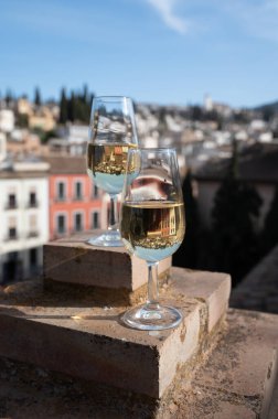 İspanya 'nın güneyindeki Endülüs şehrinin çatıları ve evleri manzaralı tatlı ve kuru şarap tatmak.