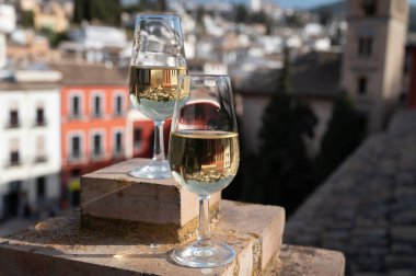 İspanya 'nın güneyindeki Endülüs şehrinin çatıları ve evleri manzaralı tatlı ve kuru şarap tatmak.