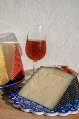 İspanyol sert manchegosu, inek, koyun ve keçi peyniri açık havada membrillo reçeli ve bir bardak şeri şarabı ile servis edilir. Mavi Endülüs stil panosunda. Kapatın.