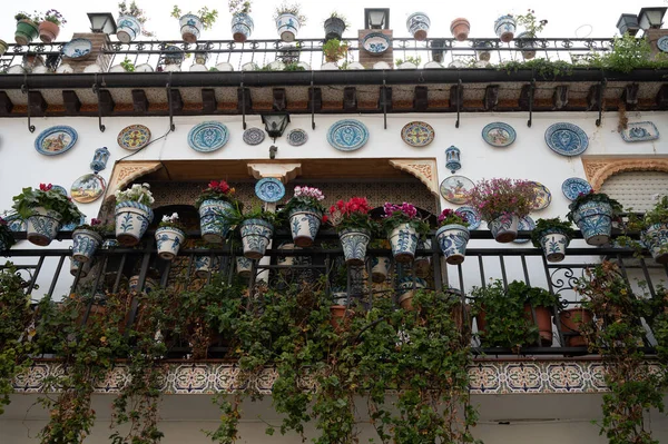 Paseos Por Casco Antiguo Granada Andalucía España Primavera —  Fotos de Stock