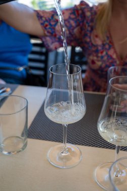 Cheeses of Normandy, round camembert cow cheese from Camembert village and heartshaped neufchatel from Neufchtel en Bray and view on alebaster cliffs Porte d'Aval in Etretat, Normandy, France