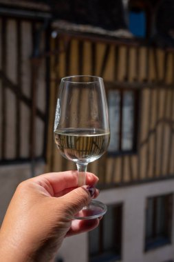 Tasting of white grand cru classe chablis wine with old French houses on background, Burgundy, wine tour is France