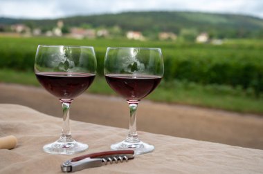 Kırmızı şarap tatma ve ortaçağ Chteauneuf du Pape şatosunun kalıntıları ile şarap turu Fransa 'da eski bir şarap köyü.