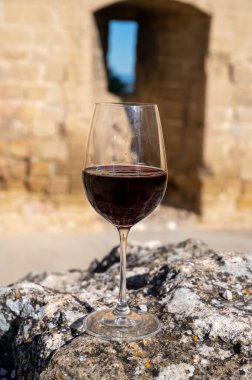 Kırmızı şarap tatma ve ortaçağ Chteauneuf du Pape şatosunun kalıntıları ile şarap turu Fransa 'da eski bir şarap köyü.