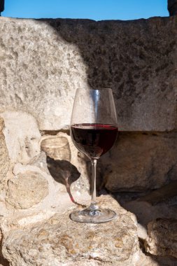 Kırmızı şarap tatma ve ortaçağ Chteauneuf du Pape şatosunun kalıntıları ile şarap turu Fransa 'da eski bir şarap köyü.