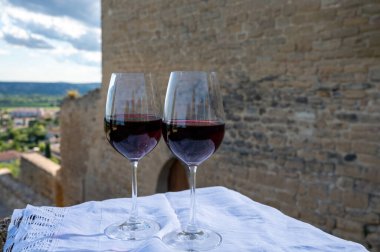 Kırmızı şarap tatma ve ortaçağ Chteauneuf du Pape şatosunun kalıntıları ile şarap turu Fransa 'da eski bir şarap köyü.