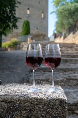 Wine tour with tasting of red dry wine and ruins of medieval castle of Chteauneuf du Pape ancient wine making village in France