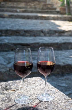 Wine tour with tasting of red dry wine and ruins of medieval castle of Chteauneuf du Pape ancient wine making village in France