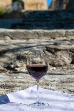 Wine tour with tasting of red dry wine and ruins of medieval castle of Chteauneuf du Pape ancient wine making village in France