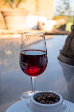 Kırmızı şarap tatma ve ortaçağ Chteauneuf du Pape şatosunun kalıntıları ile şarap turu Fransa 'da eski bir şarap köyü.