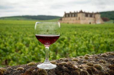 Mağaraları ziyaret edin ve Burgundy 'de şarap üreten ve arka planda şatosu olan bir bölge olan Burgundy' deki büyük ve büyük cru üzüm bağlarında cam şarap tadında kırmızı Pinot şarabı tatın.