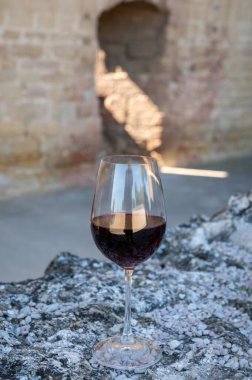 Kırmızı şarap tatma ve ortaçağ Chteauneuf du Pape şatosunun kalıntıları ile şarap turu Fransa 'da eski bir şarap köyü.