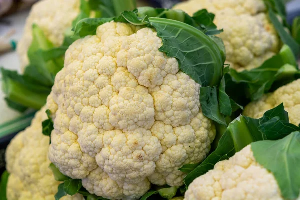 Big White Organic Cauliflower Cabbage Market Close — Stock Photo, Image