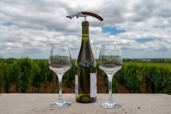 Tasting High Quality White Dry Wine Made Chardonnay Grapes Grand — Stock Photo, Image