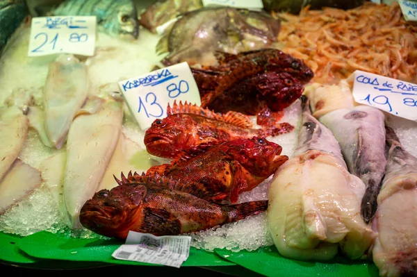 Surtido Capturas Frescas Diarias Peces Conchas Marinas Moluscos Hielo Mercado —  Fotos de Stock