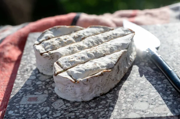 Ruta Del Vino Con Degustación Vino Tinto Seco Ruinas Del —  Fotos de Stock