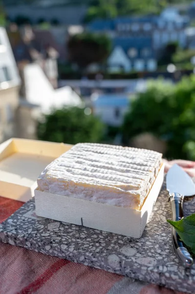 French squared pont l\'eveque cow cheese from Calvados department, close up, Pont l\'eveque village, Normandy, France