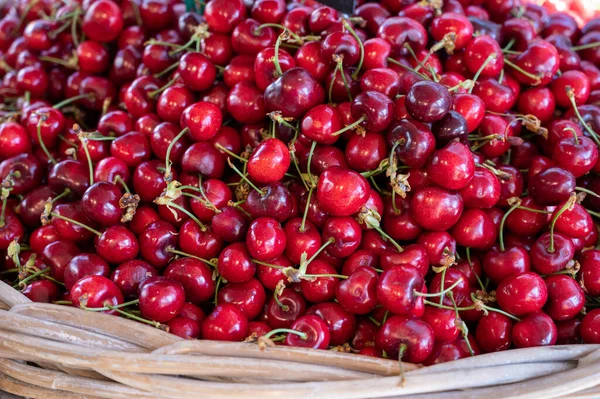 Nuova Stagione Frutta Matura Rossa Dolce Ciliegia Estiva Ciliegia Vendita — Foto Stock